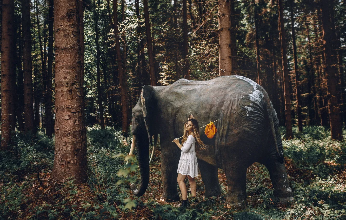 Фото обои лес, девушка, слон
