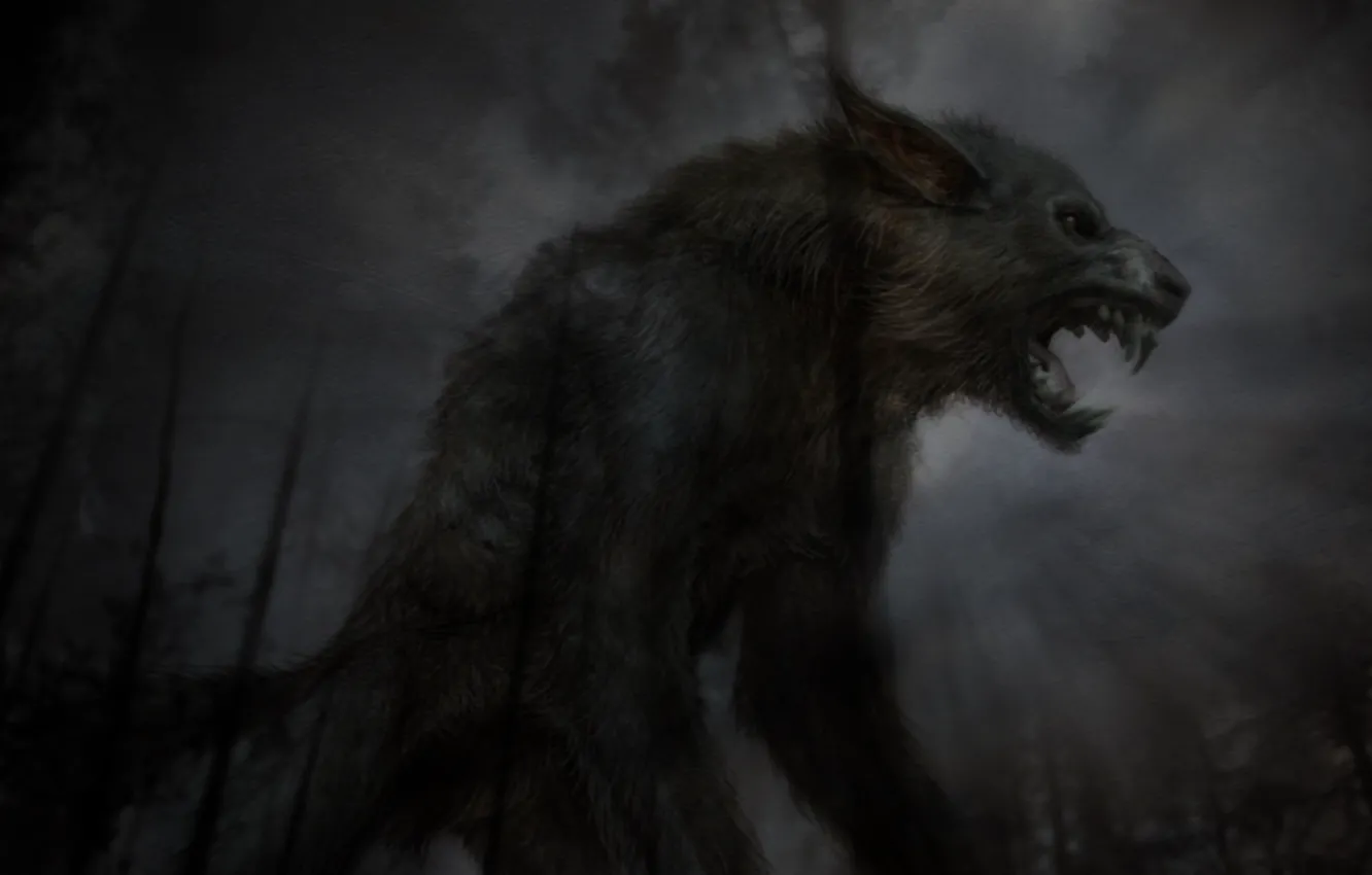 Фото обои ночь, волк, монстр, хищник, пасть, клыки, оскал, ужас