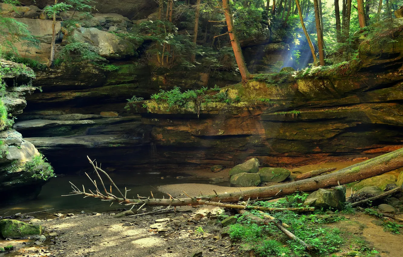 Фото обои лес, вода, лучи, деревья, скала, ручей, камни, полумрак
