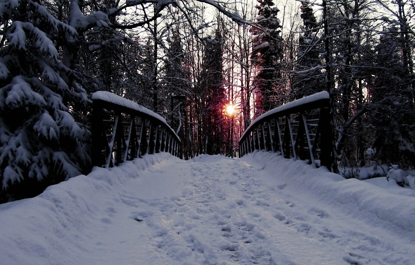 Фото обои дорога, лес, деревья, мост, Снег