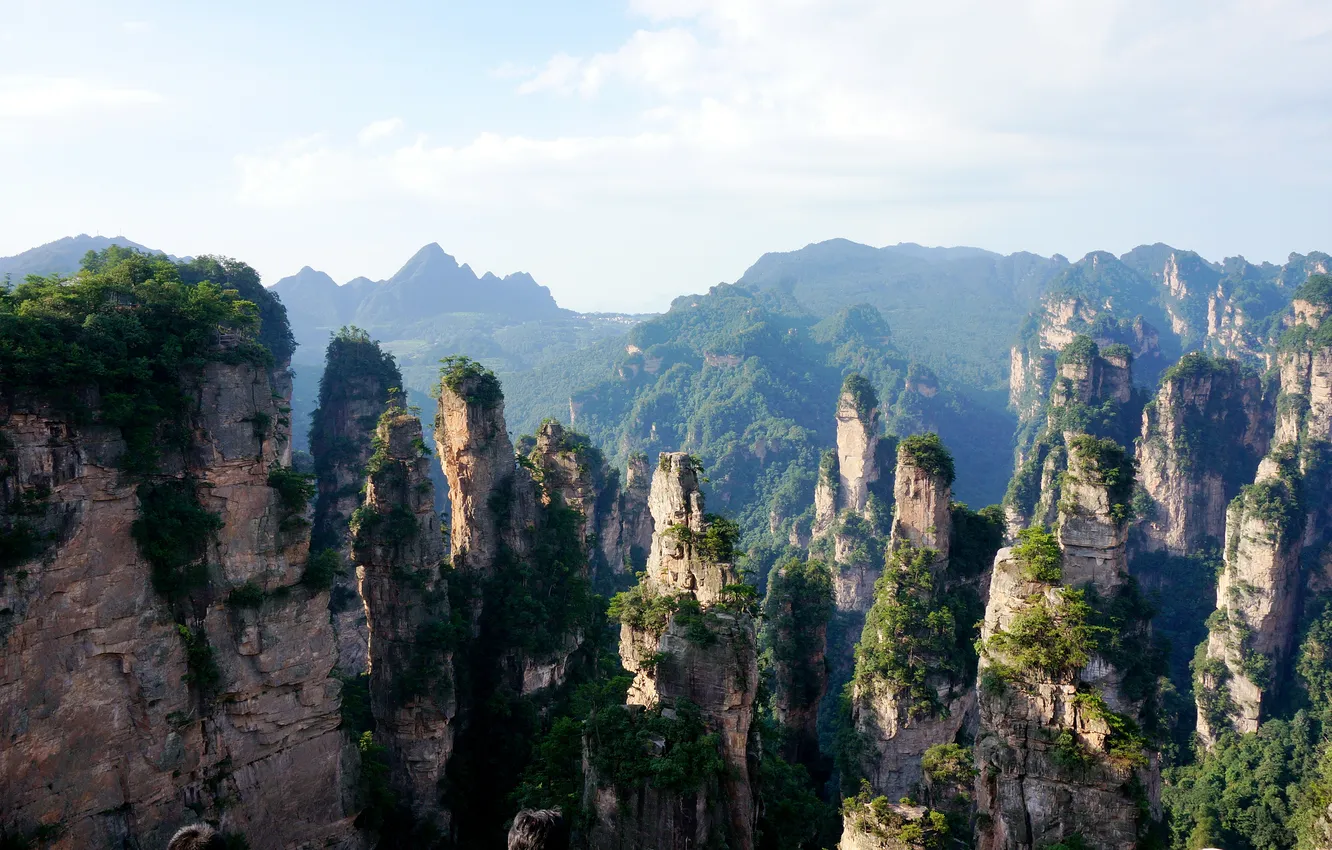 Фото обои лес, горы, природа, скалы, Китай