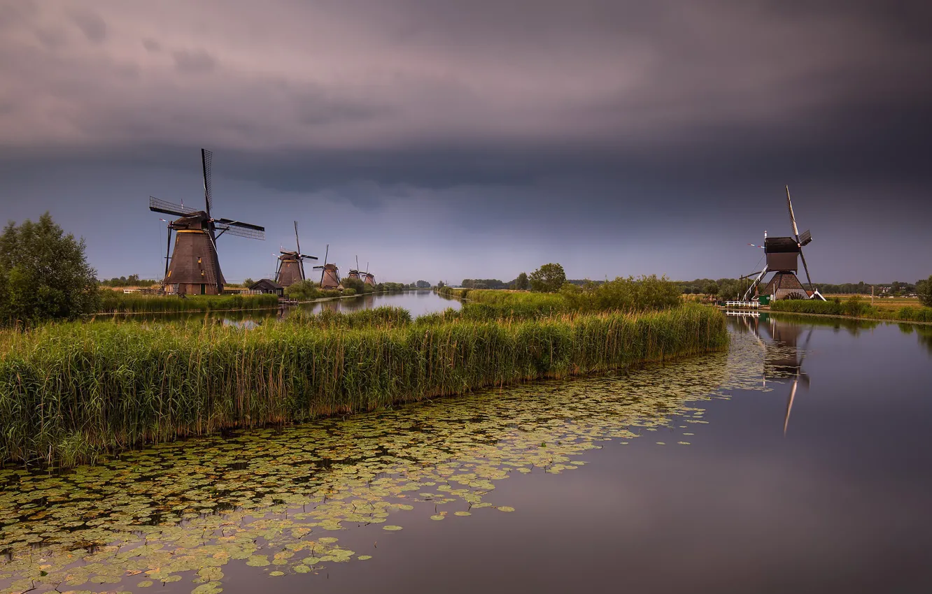Фото обои Holland, Windmill, South Holland, Elshout