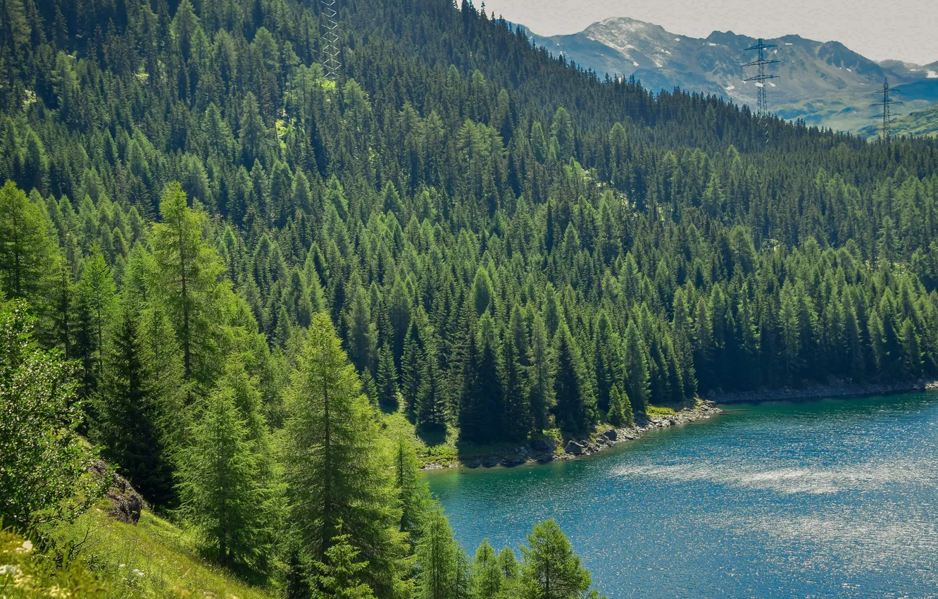 Фото обои лес, вода, деревья, горы, озеро, ель, водоем