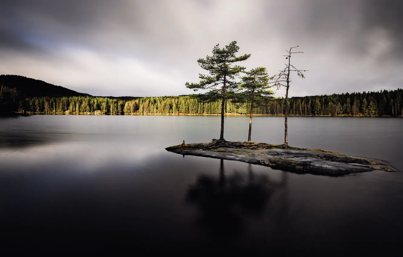 Фото обои лес, озеро, остров