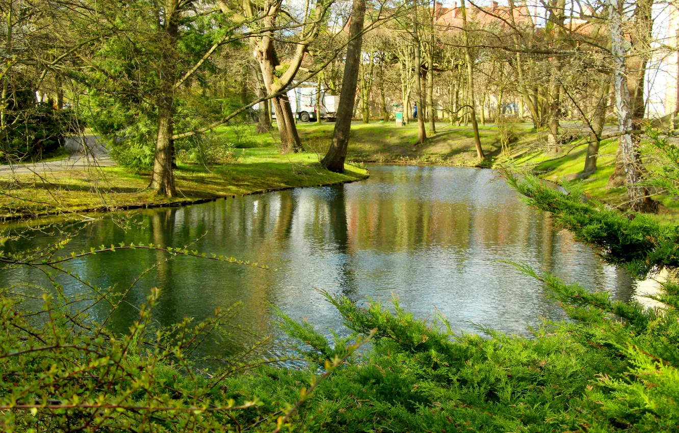 Фото обои green, trees, water, park, pond