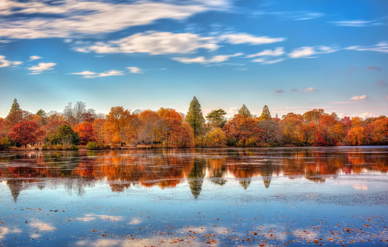 Фото обои осень, город, озеро, отражение, Нью-Йорк, США, ноябрь, Belmont Lake State Park