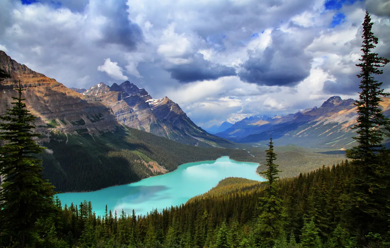 Фото обои лес, горы, природа, озеро, Banff National Park, Canada, Peyto Lake