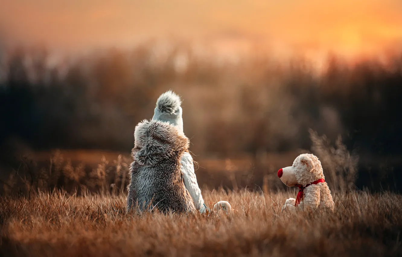 Фото обои трава, игрушка, собака, боке, child