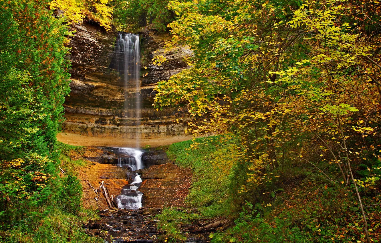 Фото обои осень, лес, листья, деревья, водопад