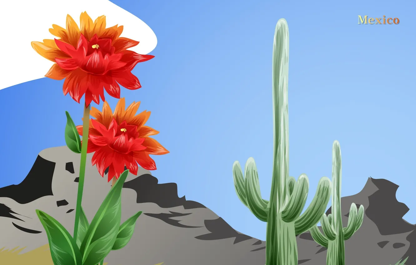 Фото обои цветок, горы, кактус, Мексика, Mexico