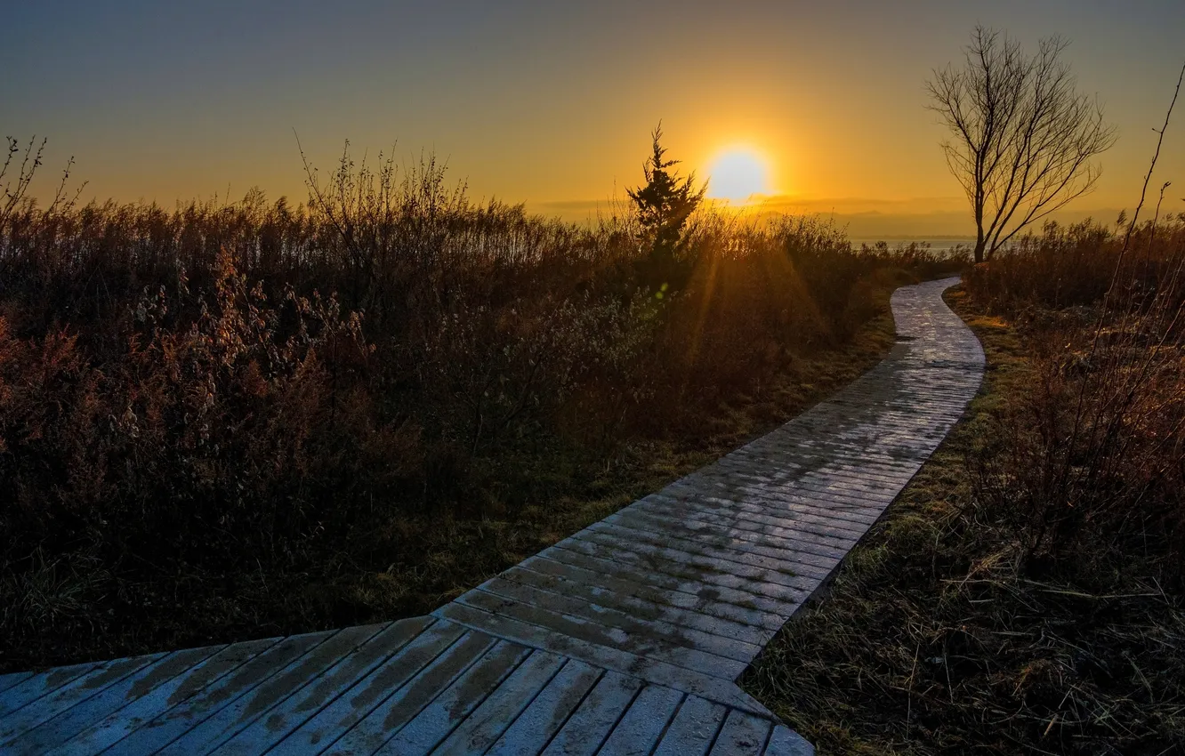 Фото обои море, пляж, закат