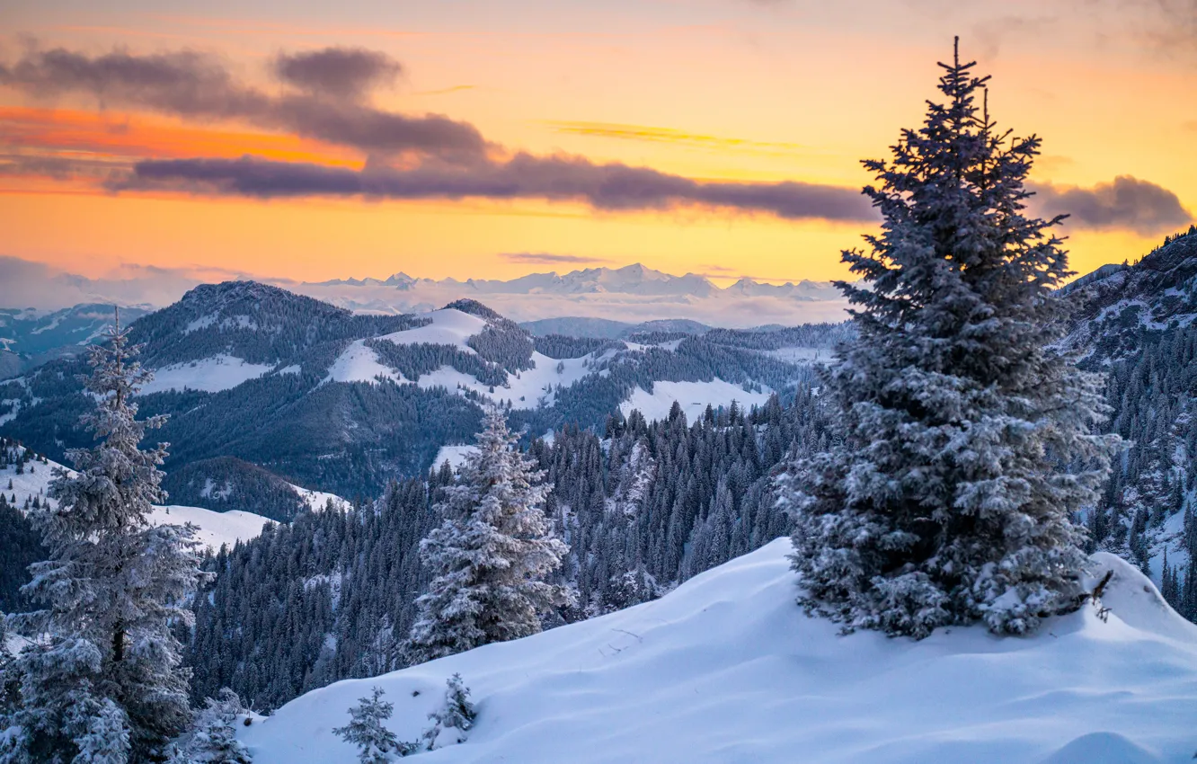Фото обои зима, лес, небо, облака, снег, деревья, закат, горы