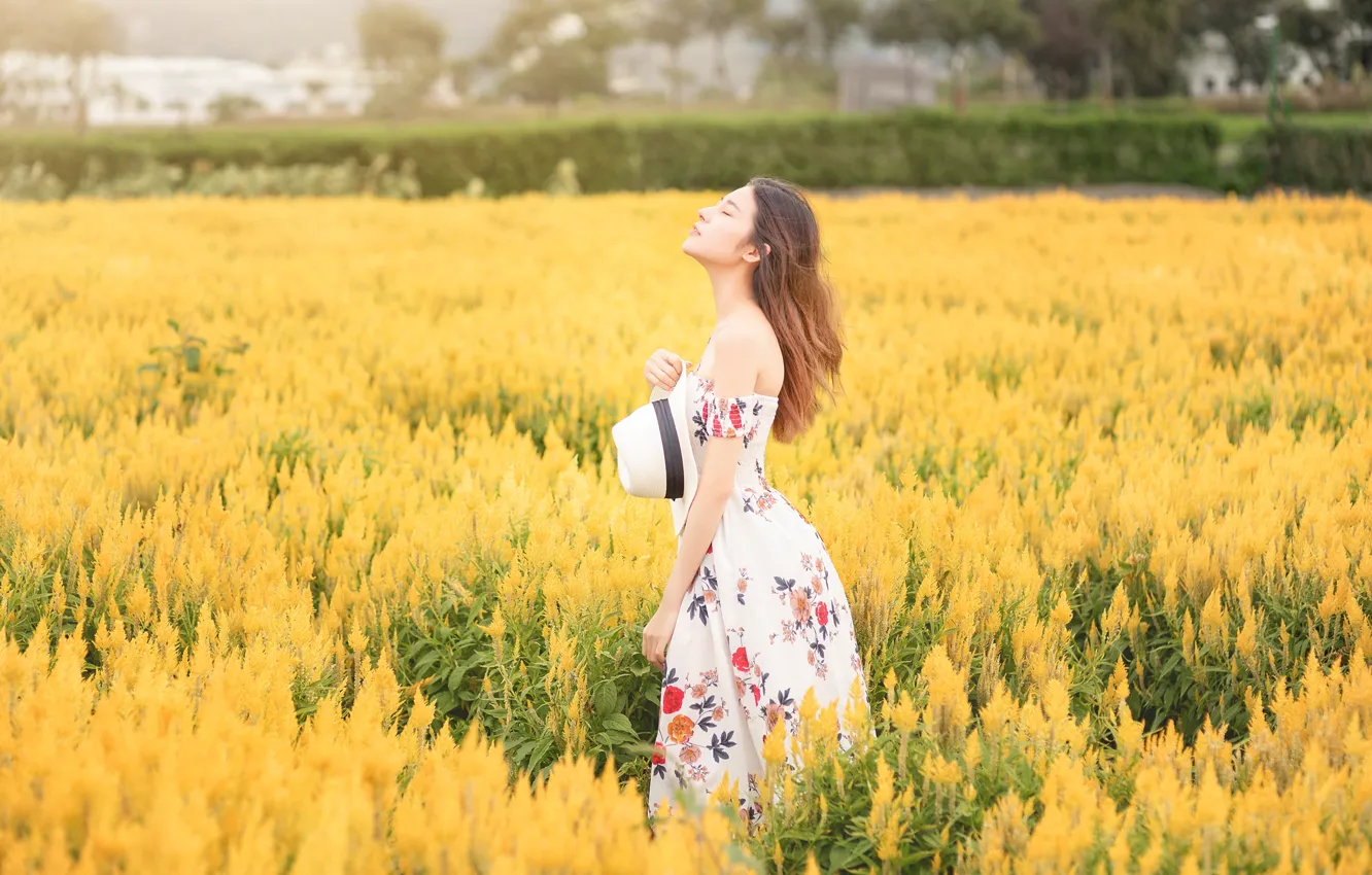 Фото обои поле, девушка, цветы, природа, желтые, платье, шляпка, прогулка