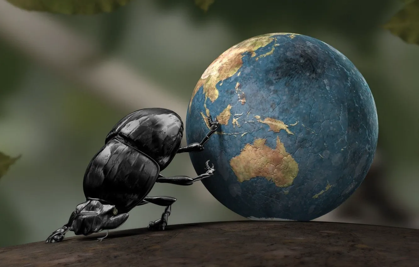 Фото обои Earth, bird, insect, CGI, crabs, one animal, animal wildlife, Dung beetle