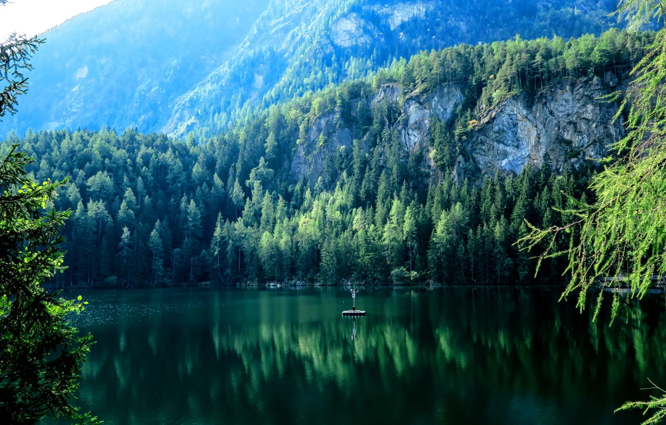 Фото обои лес, деревья, горы, природа, озеро, камни, скалы