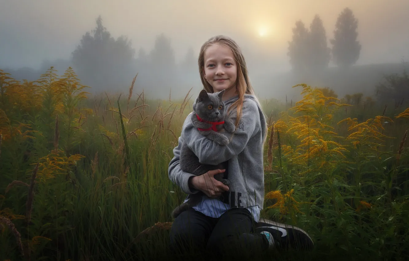 Фото обои поле, осень, кошка, трава, кот, природа, туман, улыбка