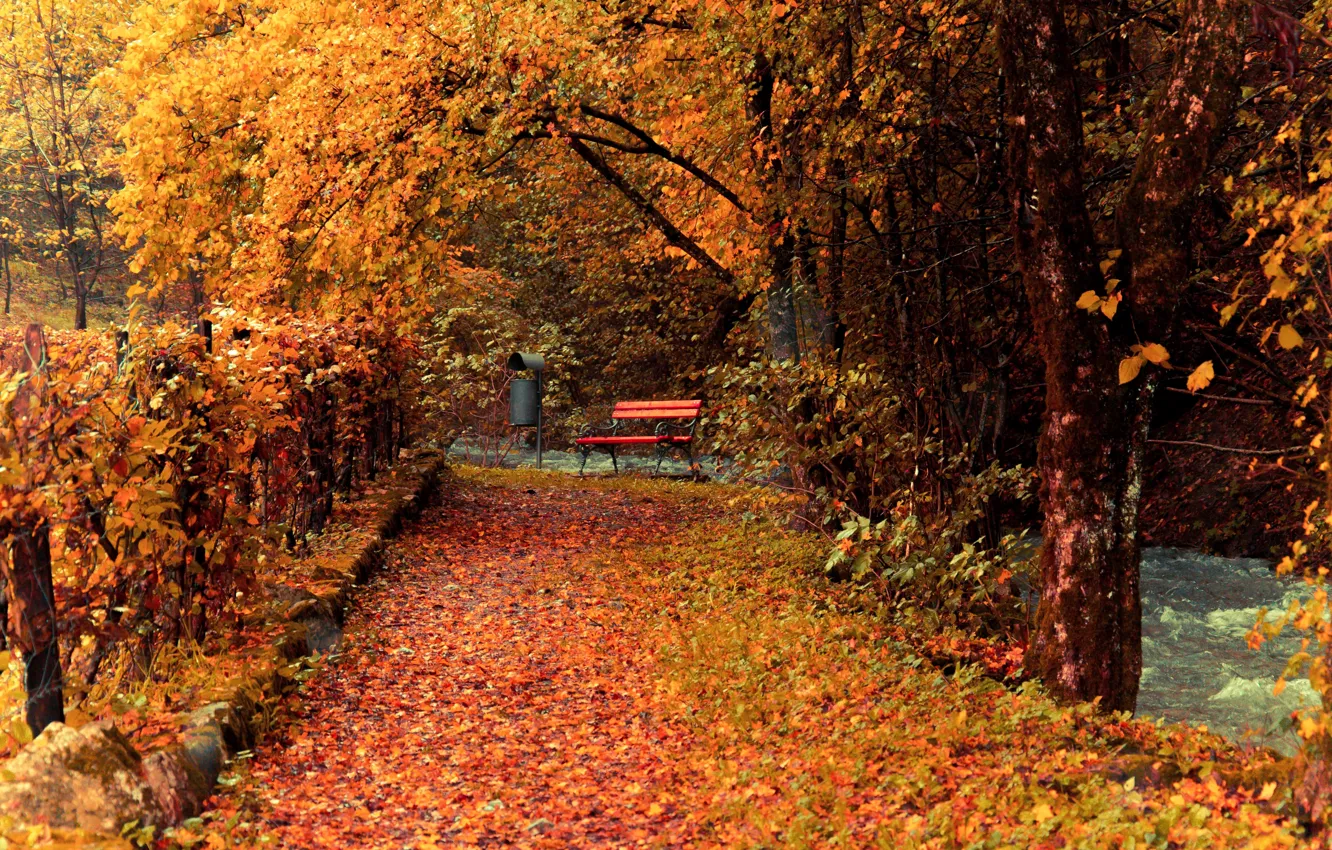 Фото обои осень, листья, деревья, скамейка, парк, ручей, ограда, желтые