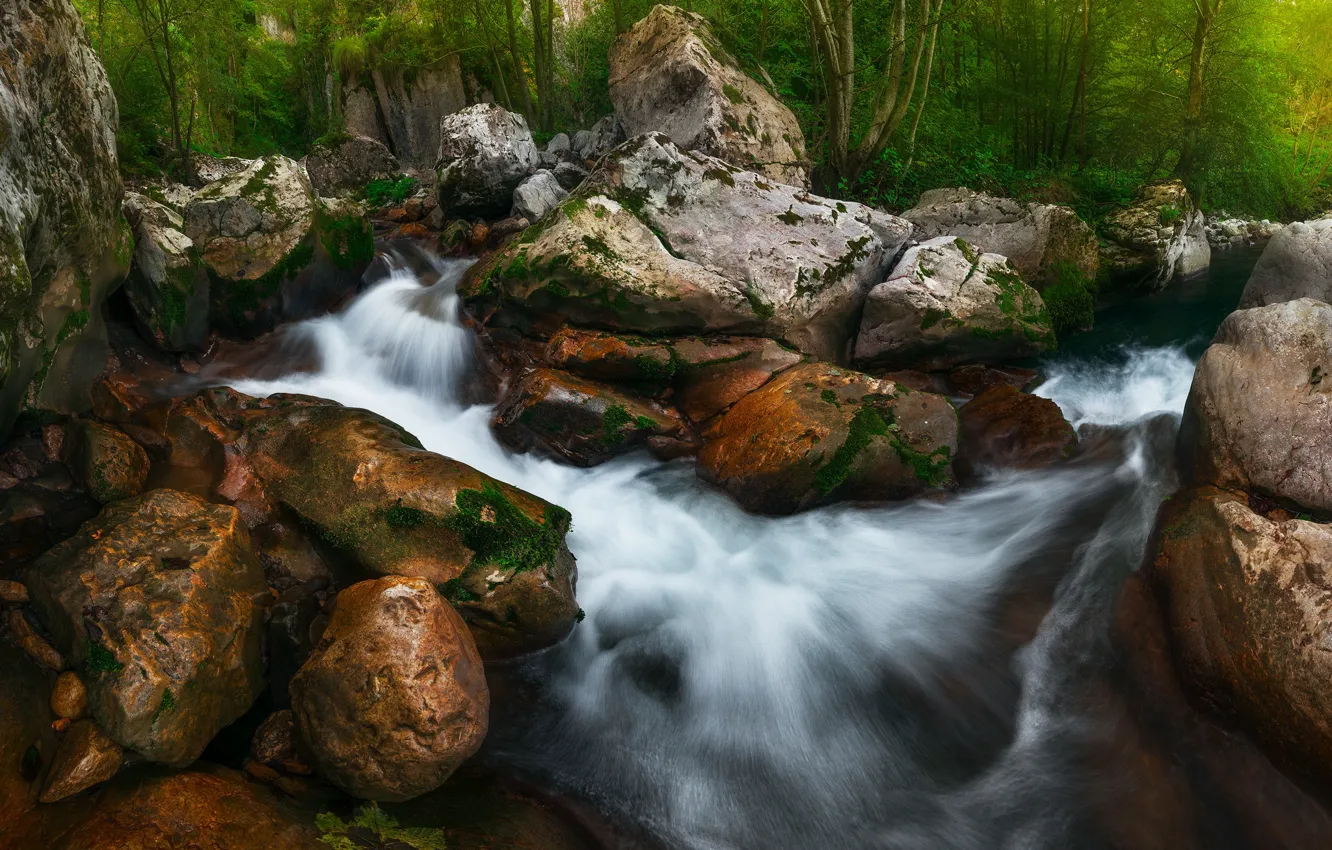Фото обои лес, природа, река, камни, водопад, валуны