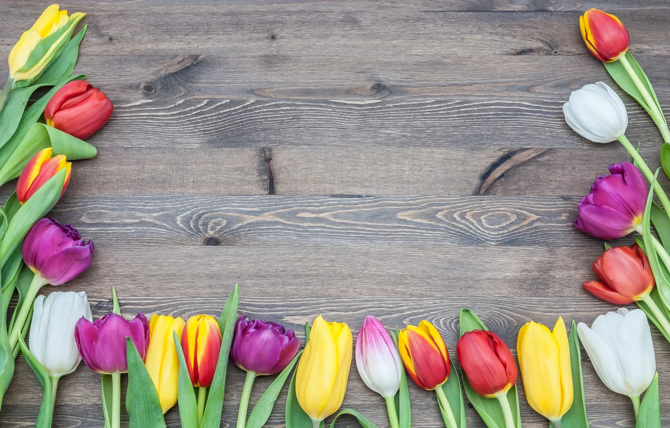 Фото обои цветы, букет, colorful, тюльпаны, love, розовые, wood, pink