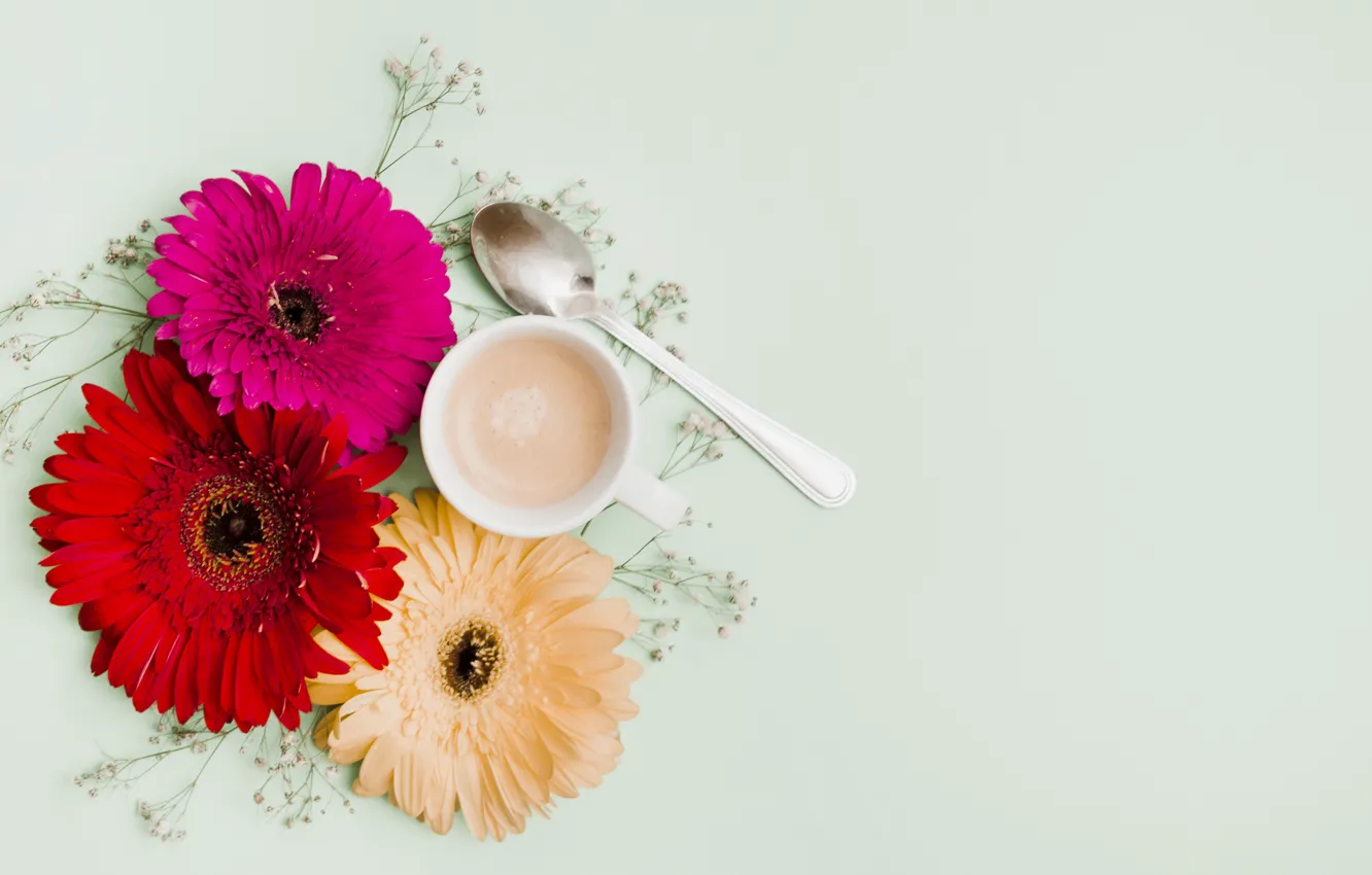 Фото обои цветы, фон, colorful, розовые, герберы, pink, flowers, coffee cup