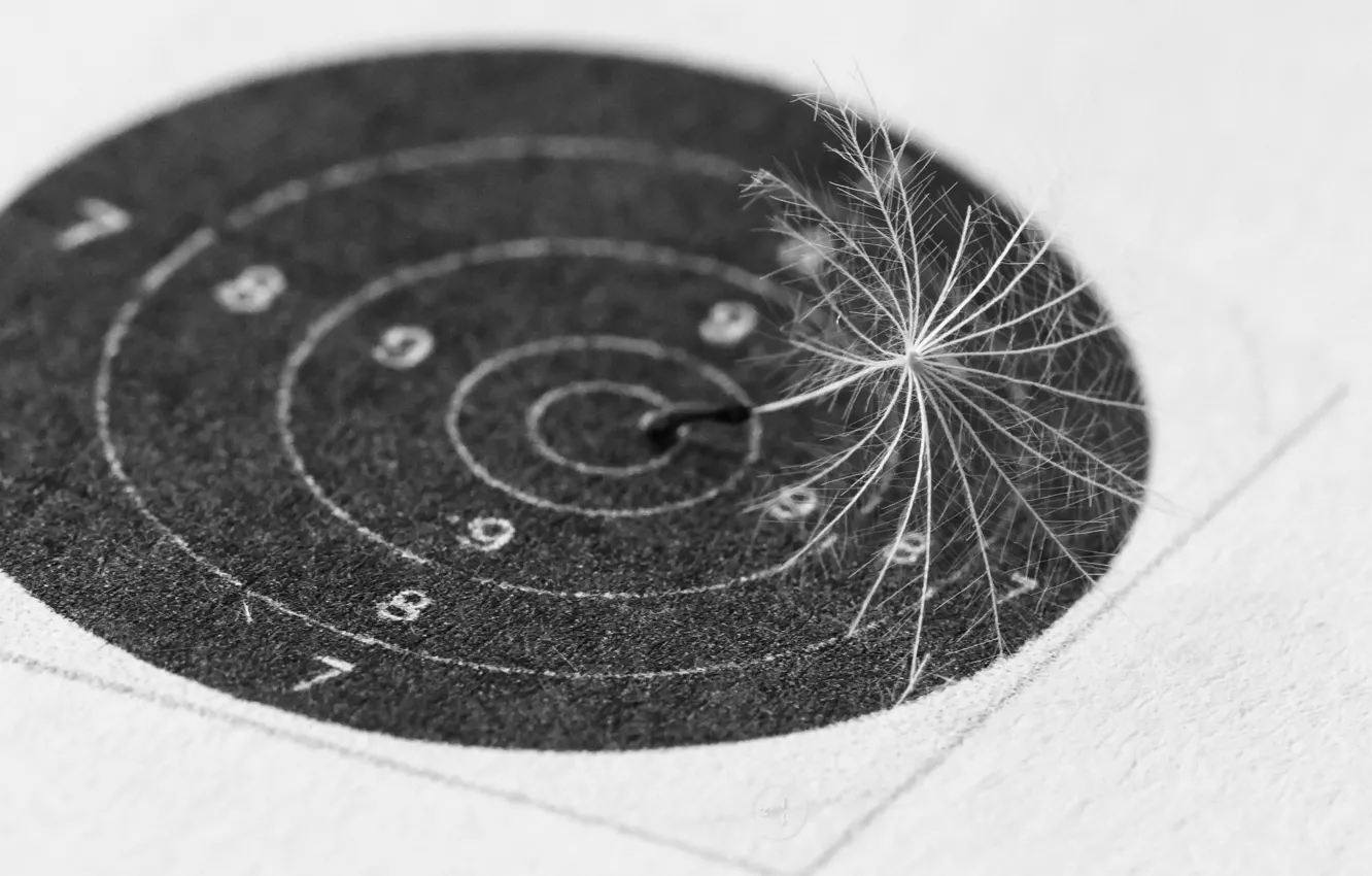 Фото обои фон, одуванчик, пушинки, мишень