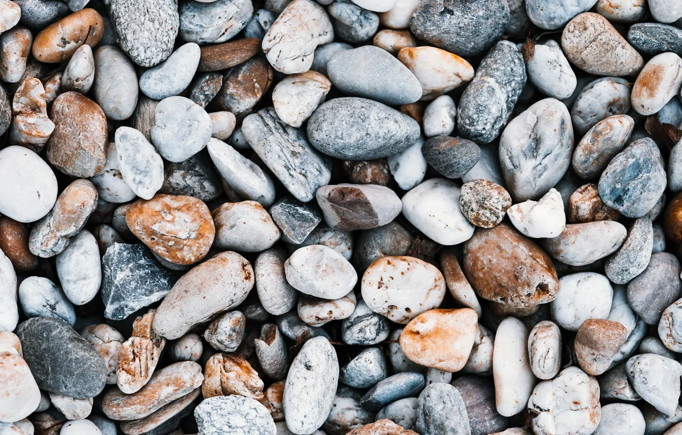 Фото обои colors, beach, stones