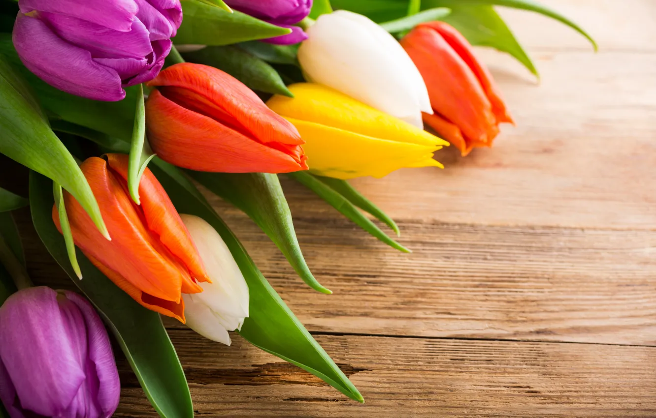 Фото обои букет, тюльпаны, wood, color