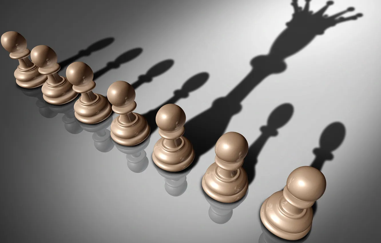 Фото обои chess, queen, shadow, pawn