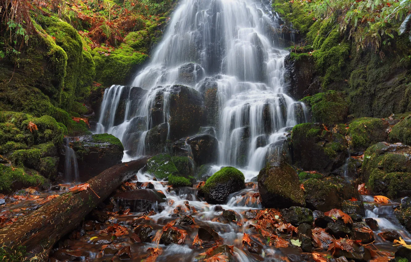 Фото обои осень, листья, камни, водопад, мох, Орегон, каскад, Oregon