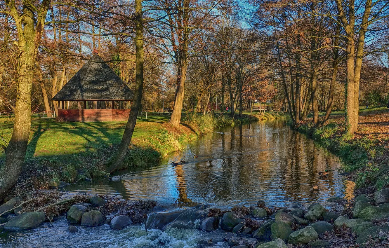 Фото обои солнце, деревья, парк, ручей, камни, утки, Германия, беседка