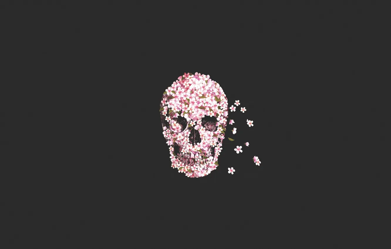 Фото обои цветы, череп, skull, flower