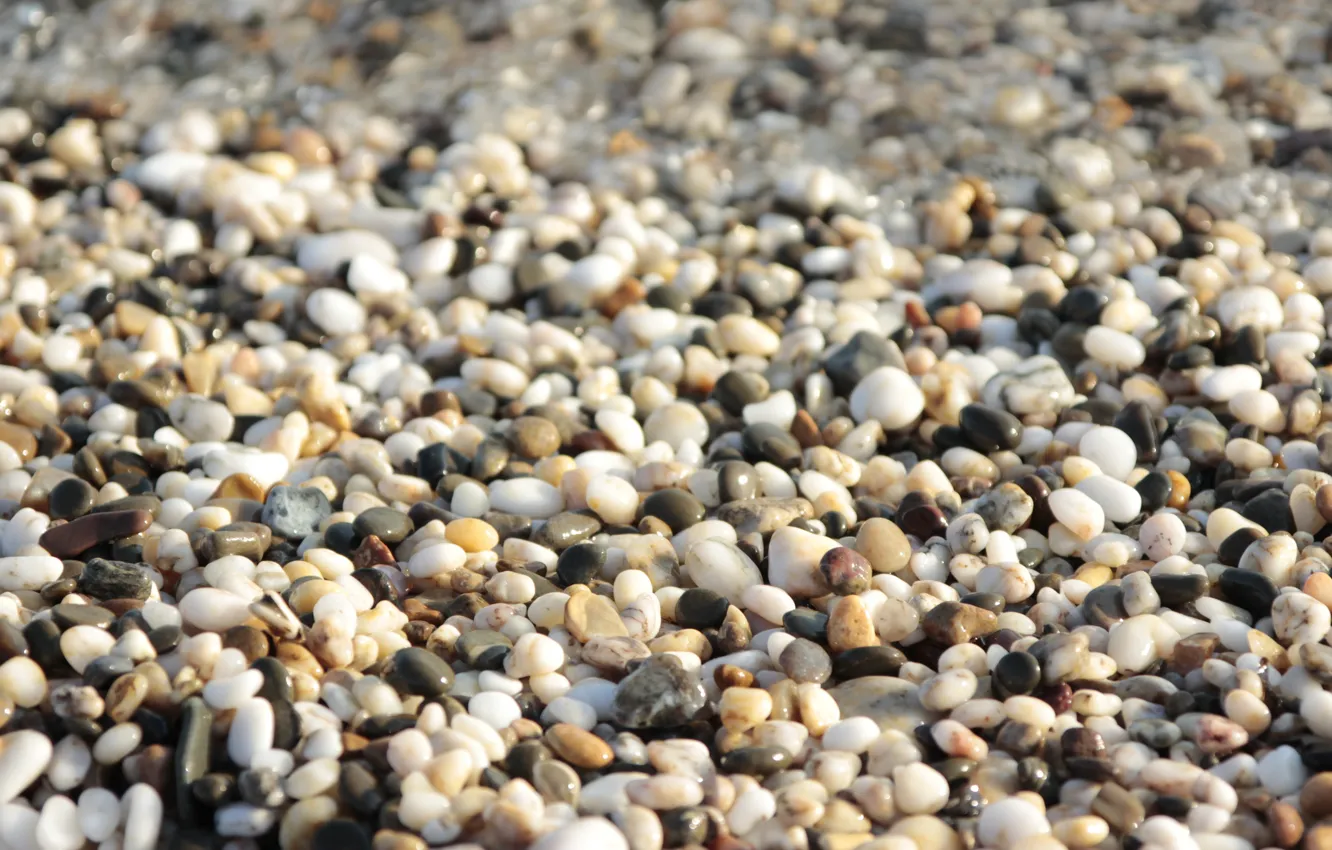 Фото обои пляж, галька, камни, фон, берег, текстура, белые, влажные