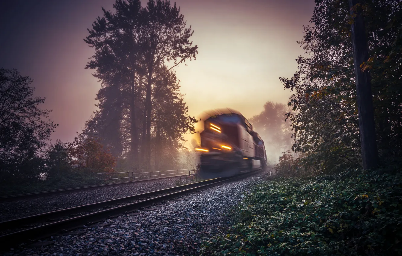 Фото обои туман, поезд, утро