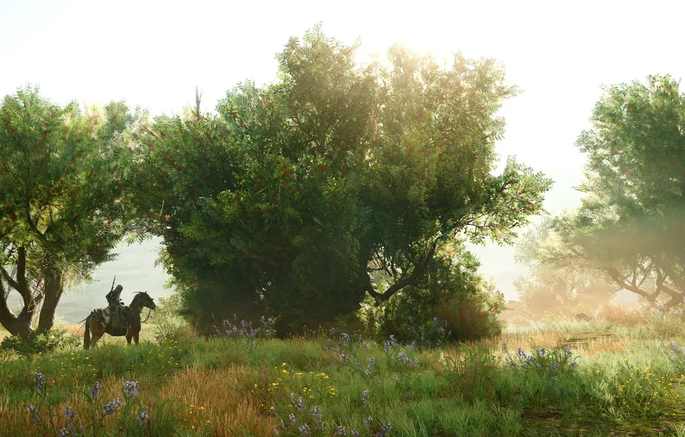 Фото обои лето, природа, всадник, Assassin's Creed Origins