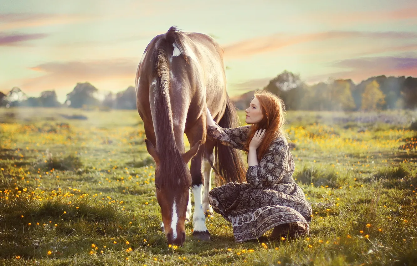 Фото обои поле, девушка, конь