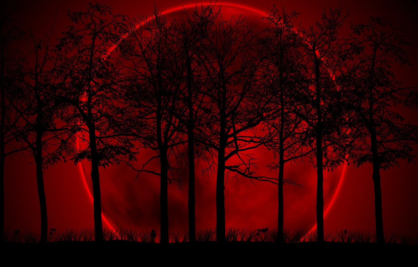 Фото обои красный, фон, луна, мрак, черный, Деревья, мрачность