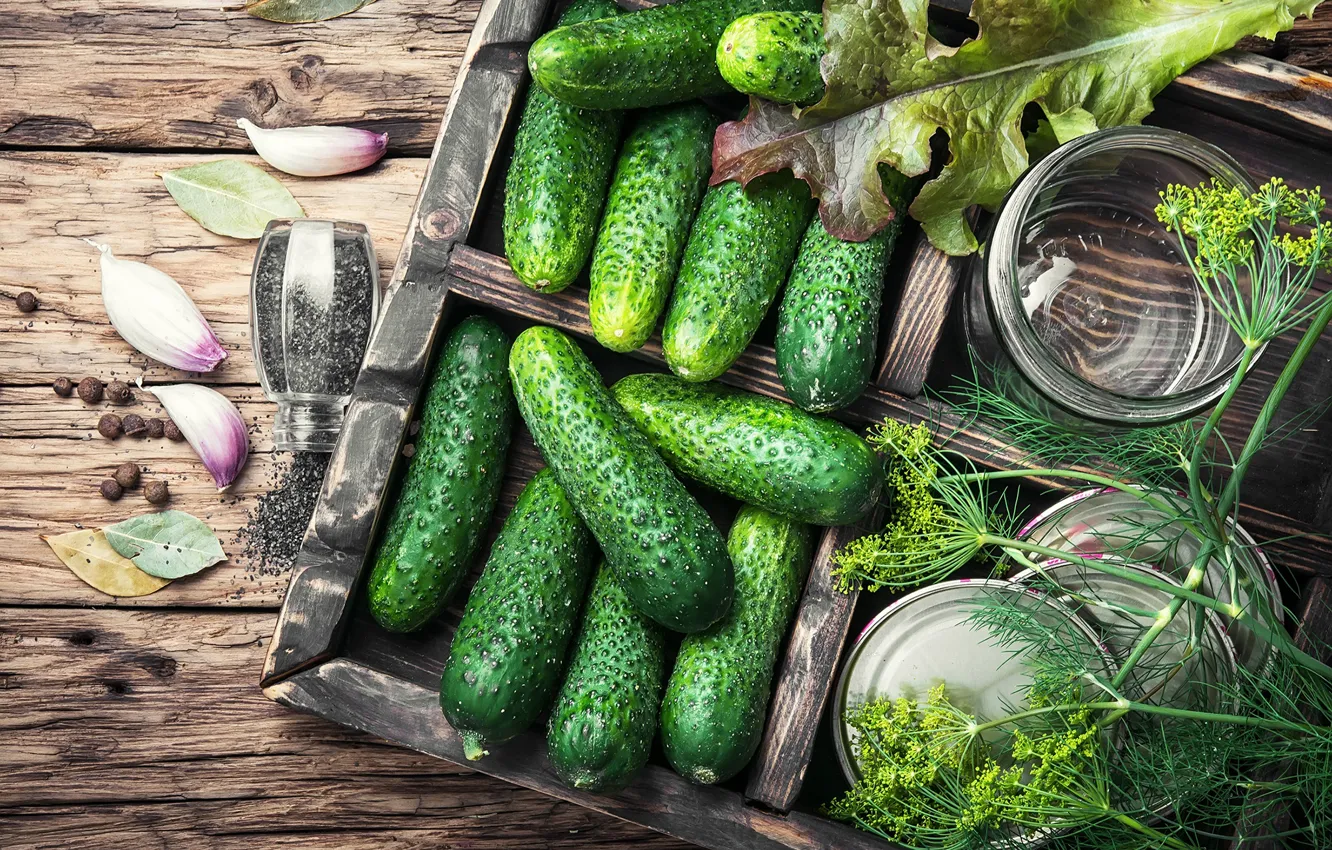 Фото обои зелень, доски, укроп, овощи, огурцы, специи, чеснок