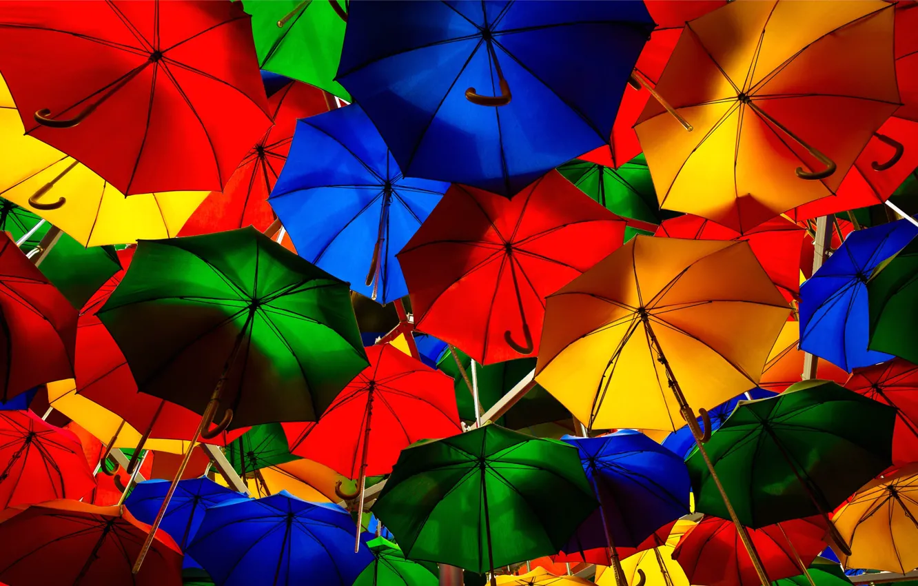 Фото обои зонтик, улица, краски, зонт