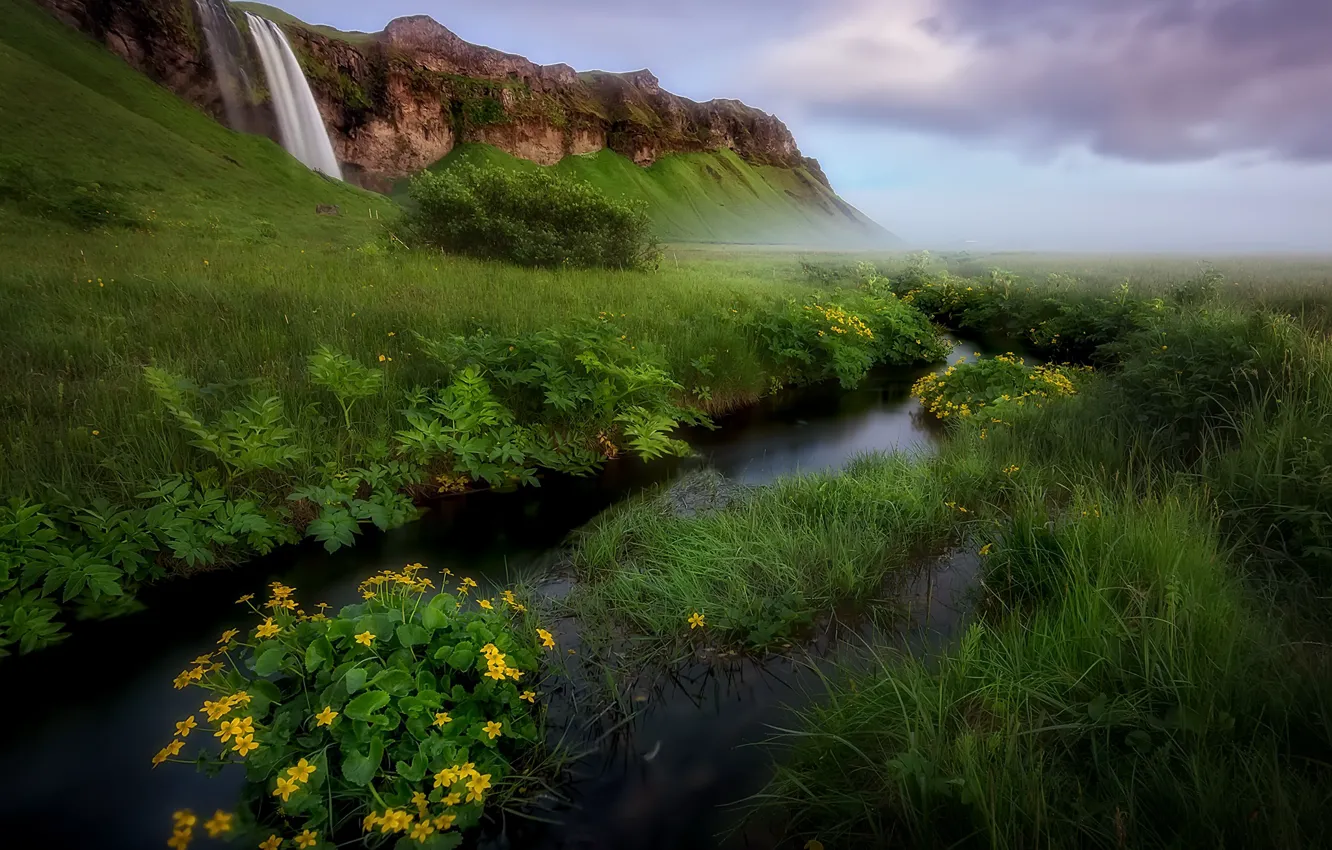 Фото обои пейзаж, цветы, природа, река, гора