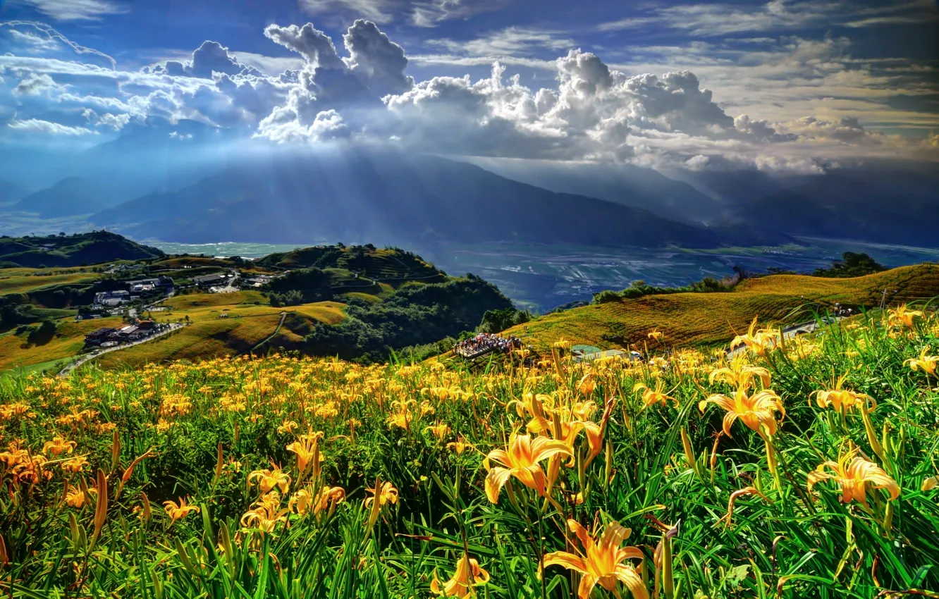 Фото обои свет, цветы, горы, пейзаж., одлака