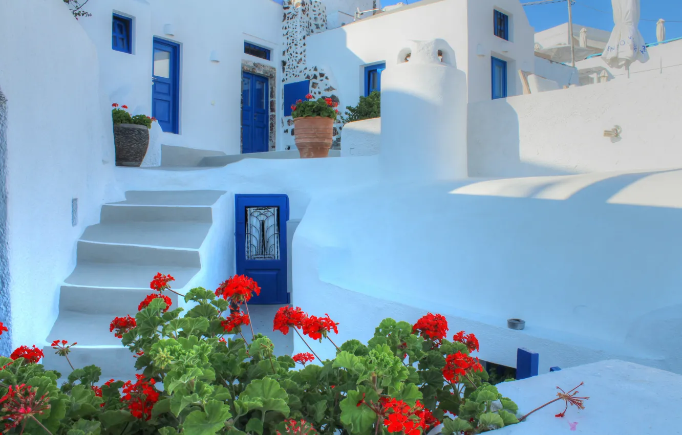 Фото обои цветы, дом, Санторини, Греция, дверь, ступени