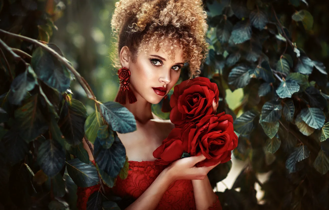 Фото обои взгляд, девушка, цветы, фото, розы, Melanie Dietze, Taynara