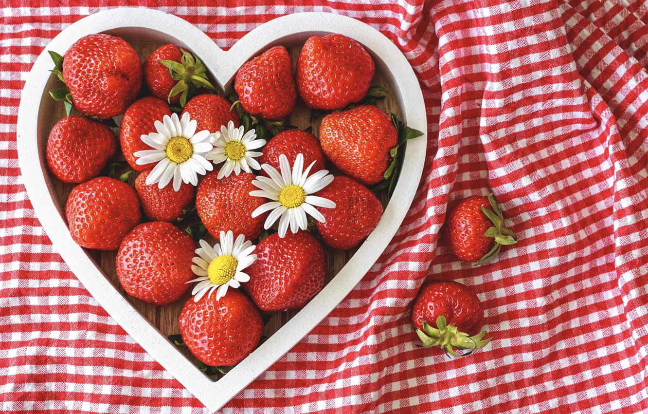 Фото обои цветы, ягоды, ромашки, клубника, strawberry, camomiles