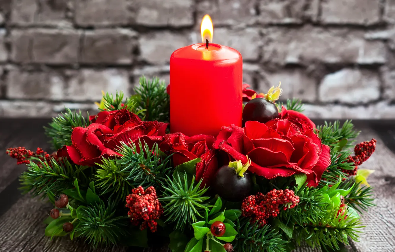 Фото обои цветы, красное, елка, Рождество, red, Christmas, сеча, flowers