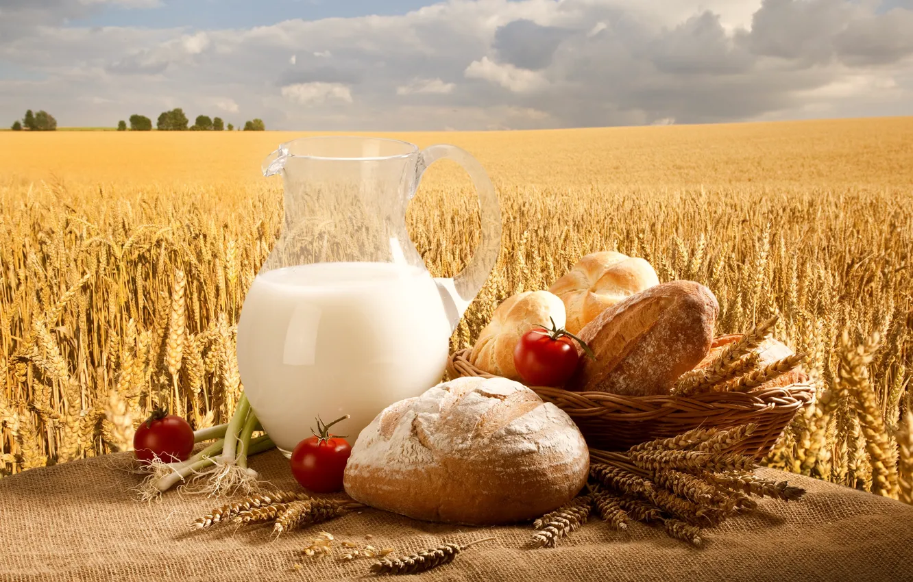 Фото обои пшеница, поле, небо, корзина, молоко, лук, хлеб, кувшин