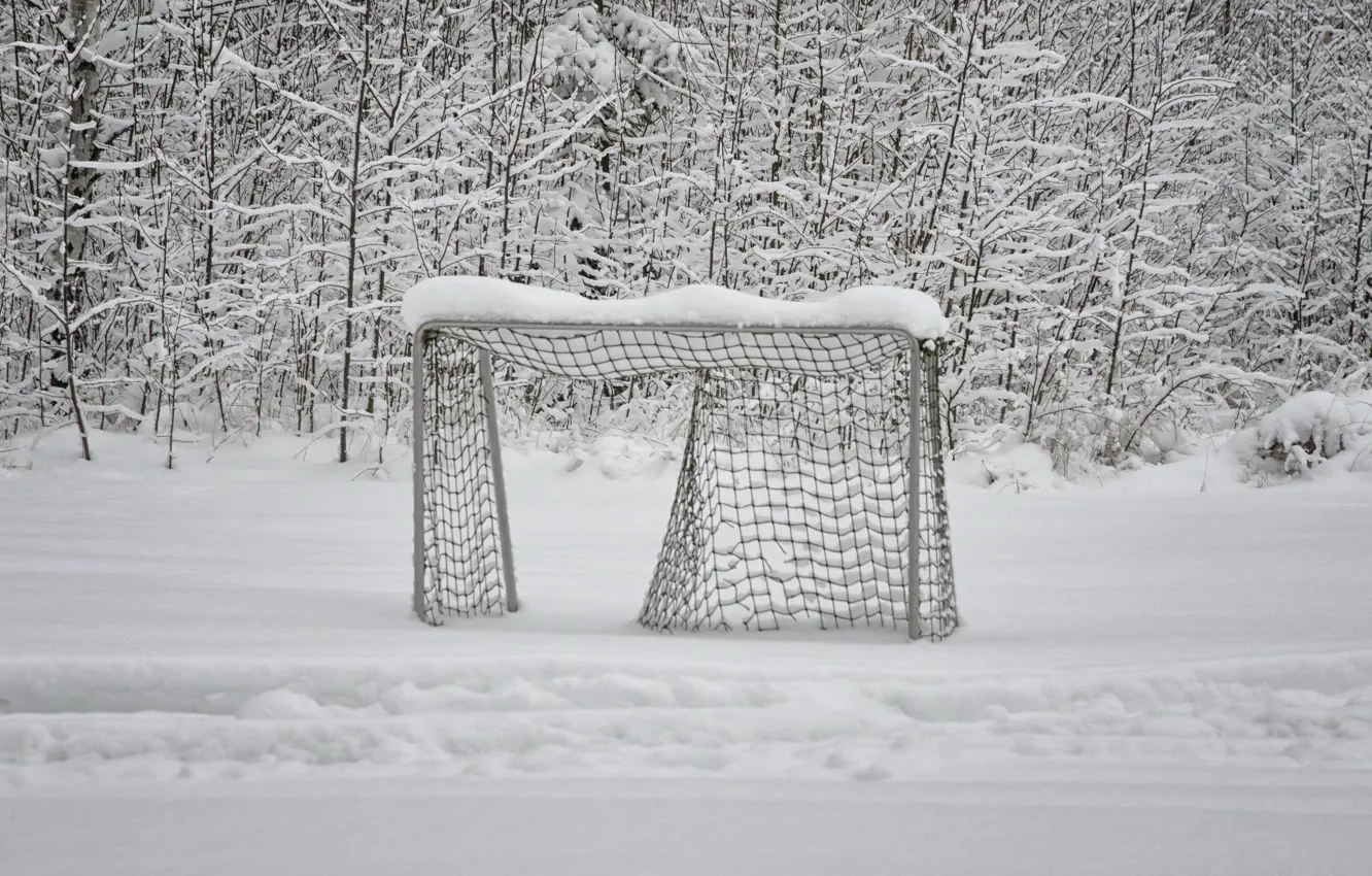 Фото обои зима, снег, ворота
