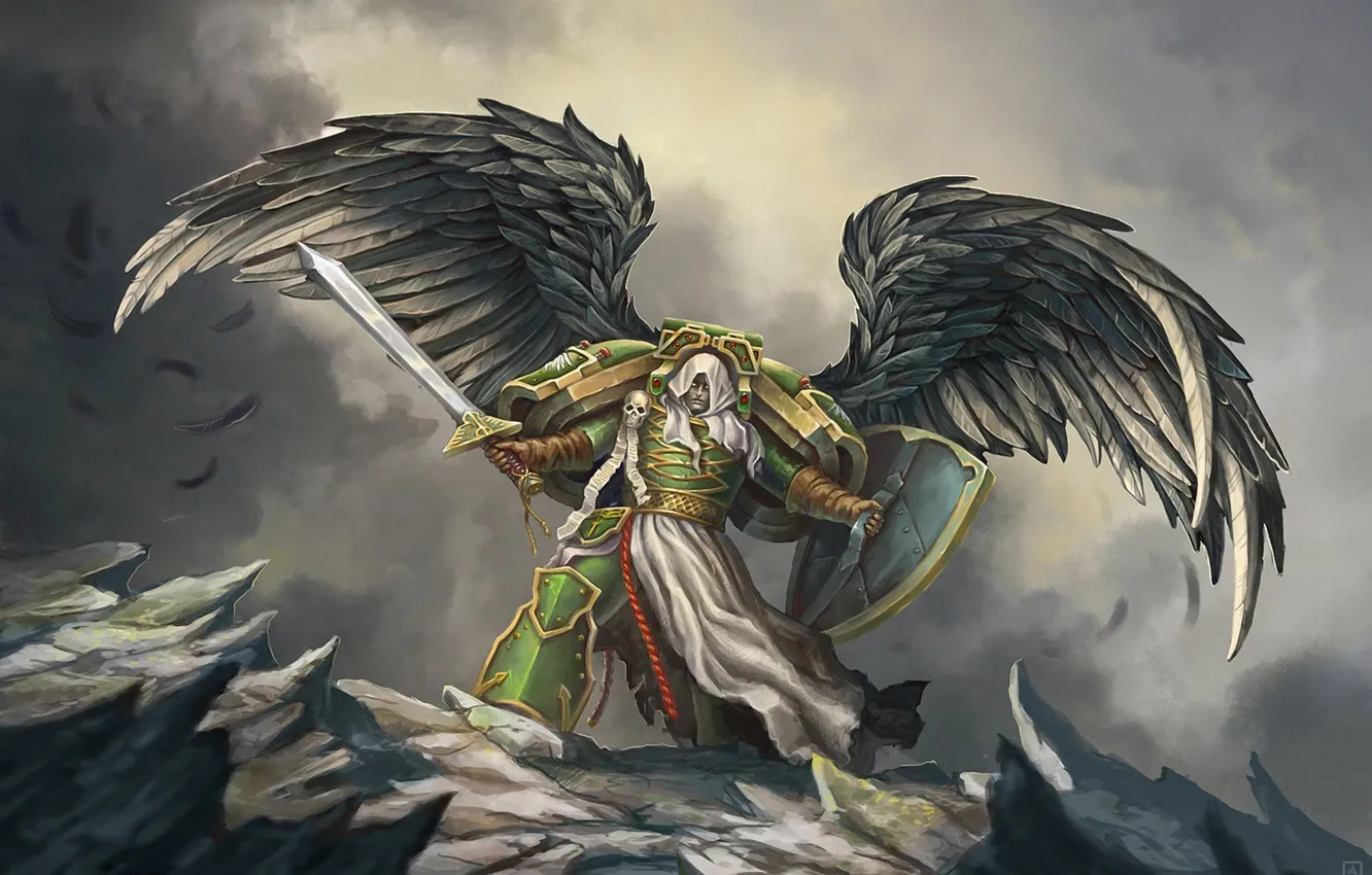 Фото обои скала, оружие, крылья, перья, воин, арт, щит, Warhammer