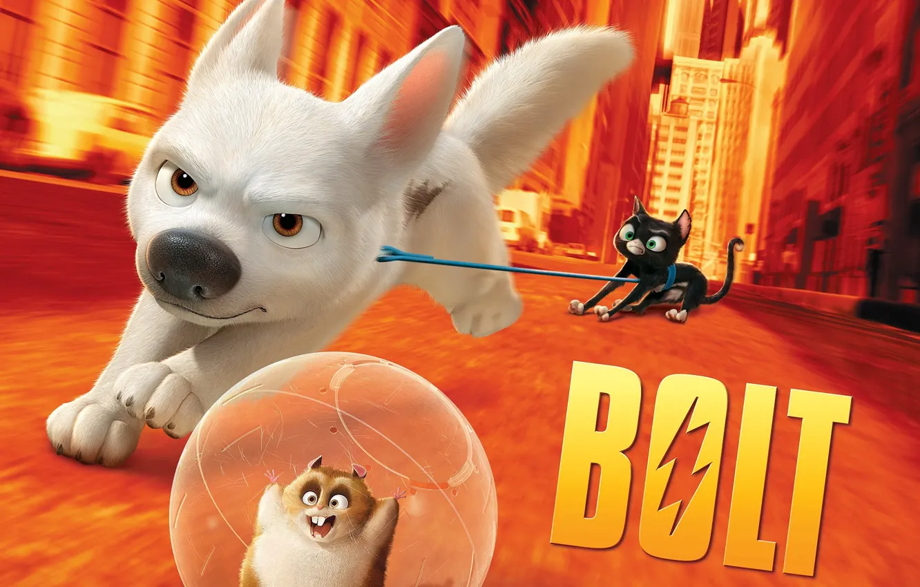 Фото обои кошка, собака, хомяк, Вольт, Bolt