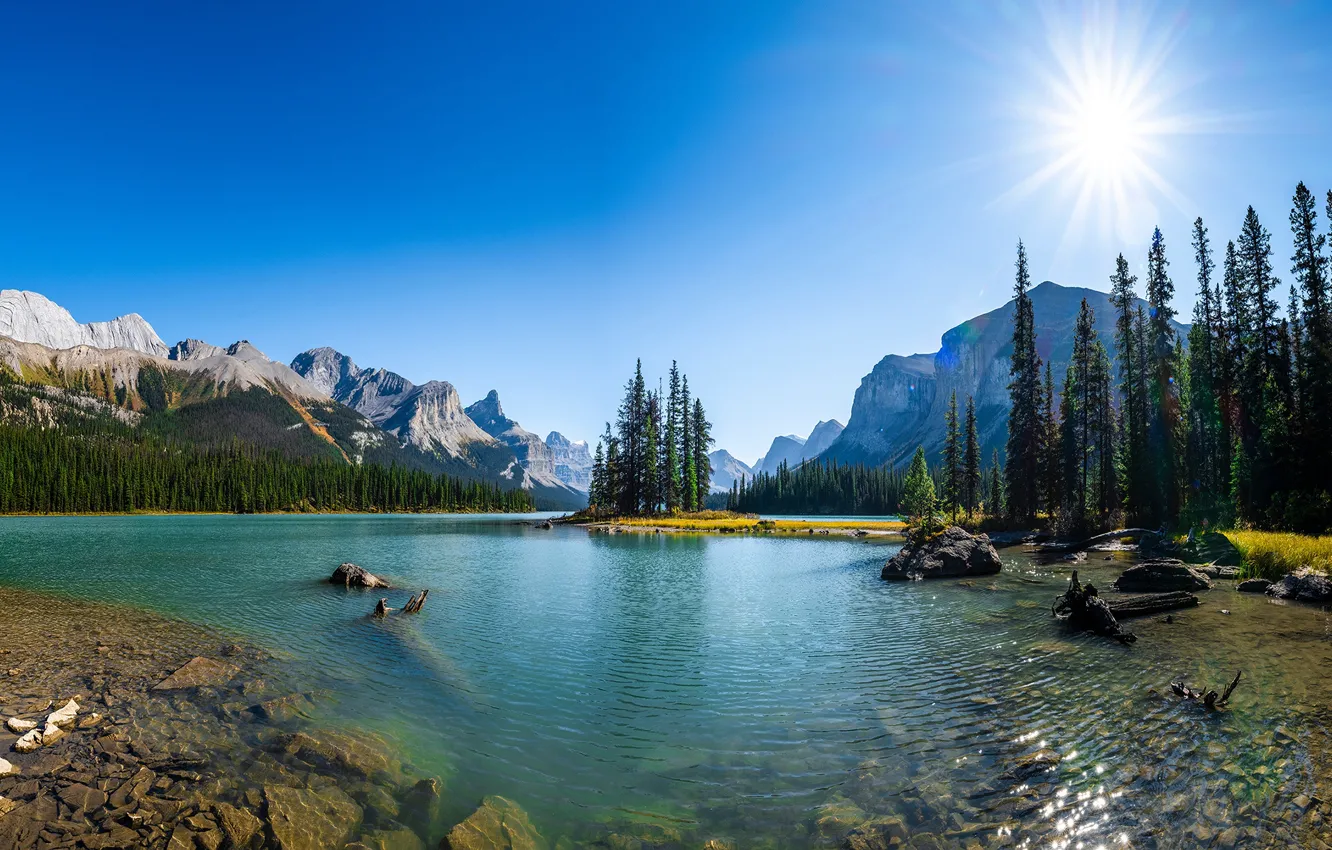 Фото обои лес, солнце, пейзаж, горы, озеро, Канада, Canada, Maligne Lake