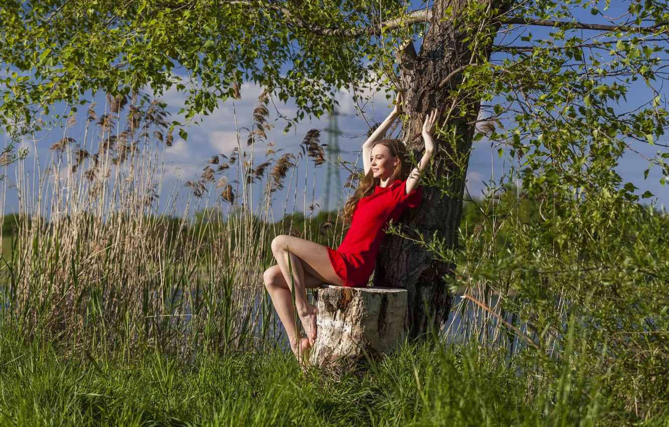 Фото обои лето, девушка, природа